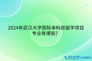 2024年武漢大學(xué)國際本科班留學(xué)項(xiàng)目專業(yè)有哪些？