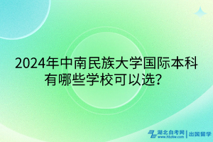 2024年中南民族大學(xué)國(guó)際本科有哪些學(xué)?？梢赃x？