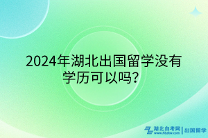 2024年湖北出國(guó)留學(xué)沒(méi)有學(xué)歷可以嗎？