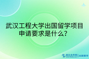 武漢工程大學(xué)出國留學(xué)項目申請要求是什么？