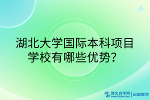 湖北大學(xué)國際本科項(xiàng)目學(xué)校有哪些優(yōu)勢(shì)？