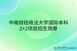 中南財經(jīng)政法大學(xué)國際本科2+2項目招生簡章