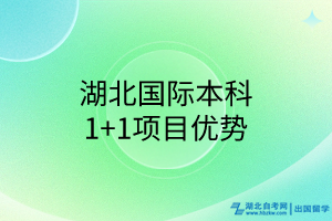 湖北國際本科1+1項目優(yōu)勢