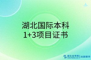 湖北國際本科1+3項目證書