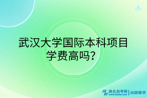 武漢大學(xué)國際本科項目學(xué)費(fèi)高嗎？