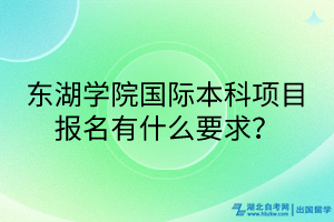 東湖學(xué)院國際本科項目報名有什么要求？