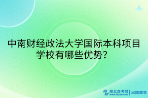 中南財(cái)經(jīng)政法大學(xué)國(guó)際本科項(xiàng)目學(xué)校有哪些優(yōu)勢(shì)？