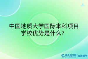 中國(guó)地質(zhì)大學(xué)國(guó)際本科項(xiàng)目學(xué)校優(yōu)勢(shì)是什么？