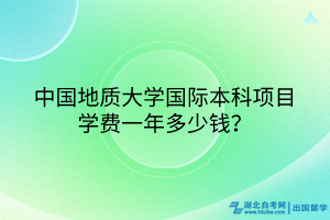 中國地質(zhì)大學(xué)國際本科項目學(xué)費一年多少錢？