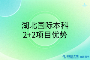 湖北國(guó)際本科2+2項(xiàng)目?jī)?yōu)勢(shì)