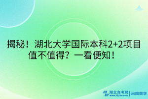 揭秘！湖北大學(xué)國際本科2+2項(xiàng)目值不值得？一看便知！