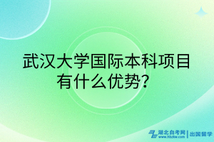 武漢大學國際本科項目有什么優(yōu)勢？