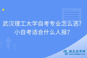 武漢理工大學自考專業(yè)怎么選？小自考適合什么人報？