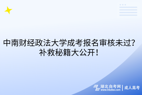 中南財經政法大學成考報名審核未過？補救秘籍大公開！