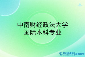 中南財經政法大學國際本科專業(yè)