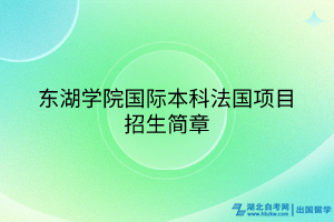 東湖學院國際本科法國項目招生簡章