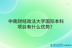 中南財經(jīng)政法大學國際本科項目有什么優(yōu)勢？