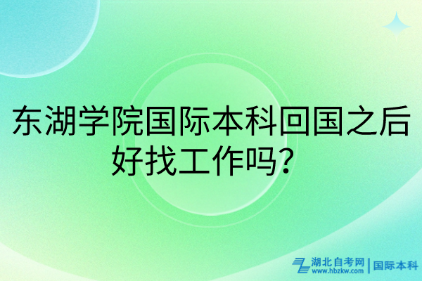 東湖學(xué)院國際本科回國之后好找工作嗎？