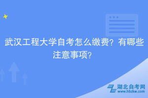 武漢工程大學(xué)自考?怎么繳費(fèi)？有哪些注意事項(xiàng)？