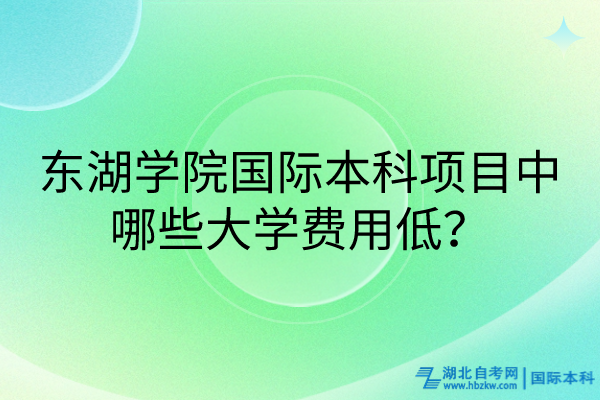 東湖學(xué)院國(guó)際本科項(xiàng)目中哪些大學(xué)費(fèi)用低？