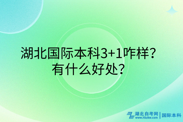 湖北國際本科3+1咋樣？有什么好處？