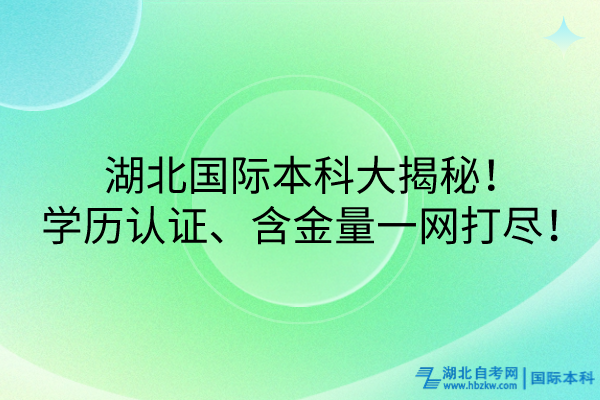 湖北國際本科大揭秘！學(xué)歷認證、含金量一網(wǎng)打盡！