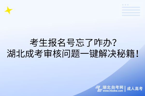 報名號忘了咋辦？湖北成考審核問題一鍵解決秘籍！