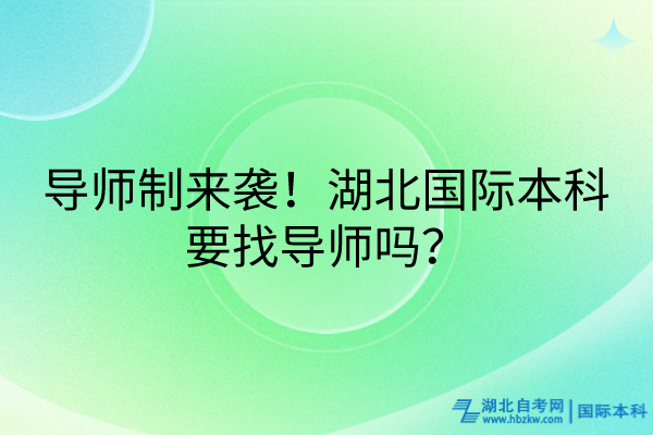 導(dǎo)師制來襲！湖北國際本科要找導(dǎo)師嗎？