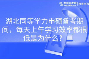 湖北同等學(xué)力申碩備考期間，每天上午學(xué)習(xí)效率都很低是為什么？