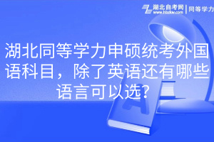 湖北同等學(xué)力申碩統(tǒng)考外國(guó)語(yǔ)科目，除了英語(yǔ)還有哪些語(yǔ)言可以選？