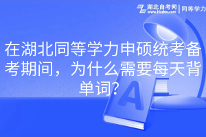 在湖北同等學(xué)力申碩統(tǒng)考備考期間，為什么需要每天背單詞？