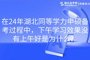 在24年湖北同等學(xué)力申碩備考過程中，下午學(xué)習(xí)效果沒有上午好是為什么？