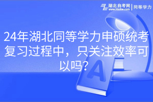 24年湖北同等學(xué)力申碩統(tǒng)考復(fù)習(xí)過程中，只關(guān)注效率可以嗎？