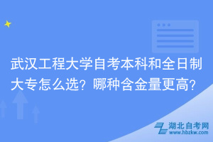 武漢工程大學(xué)自考本科和全日制大專怎么選？哪種含金量更高？