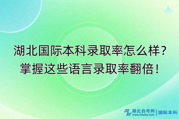 湖北國(guó)際本科錄取率怎么樣？掌握這些語(yǔ)言錄取率翻倍！