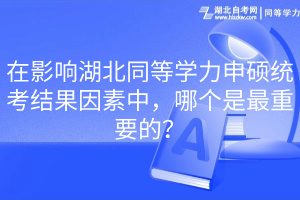 在影響湖北同等學力申碩統(tǒng)考結果因素中，哪個是最重要的？