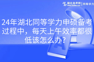 24年湖北同等學力申碩備考過程中，每天上午效率都很低該怎么辦？