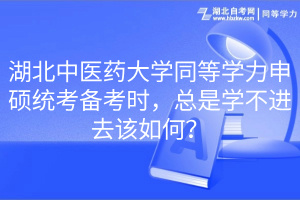 湖北中醫(yī)藥大學同等學力申碩統(tǒng)考備考時，總是學不進去該如何？