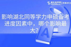 影響湖北同等學(xué)力申碩備考進度因素中，哪個影響最大？