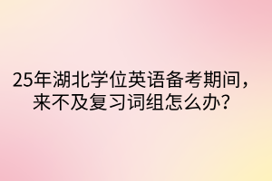 25年湖北學(xué)位英語備考期間，來不及復(fù)習(xí)詞組怎么辦？