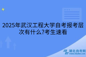 2025年武漢工程大學(xué)自考報考層次有什么?考生速看