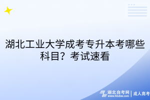 湖北工業(yè)大學成考專升本考哪些科目？考試速看