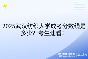 2025武漢紡織大學(xué)成考分?jǐn)?shù)線是多少？考生速看！
