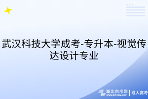 武漢科技大學(xué)成考-專(zhuān)升本-視覺(jué)傳達(dá)設(shè)計(jì)專(zhuān)業(yè)