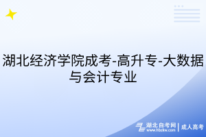 湖北經(jīng)濟(jì)學(xué)院成考-高升專-大數(shù)據(jù)與會計專業(yè)