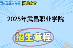 招生章程(32)