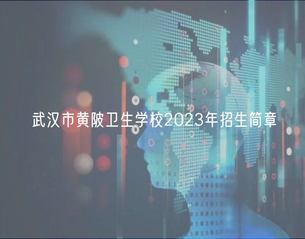 武漢市黃陂衛(wèi)生學(xué)校2023年招生簡章