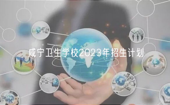 咸寧衛(wèi)生學校2023年招生計劃