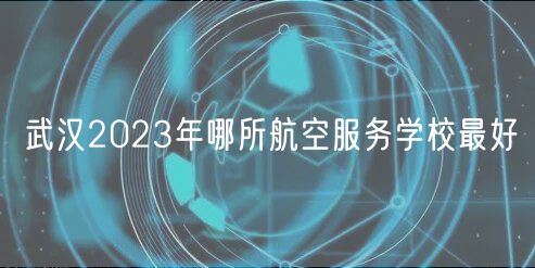 武漢2023年哪所航空服務(wù)學(xué)校最好