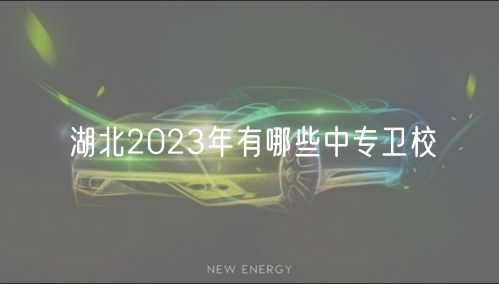 湖北2023年有哪些中專衛(wèi)校